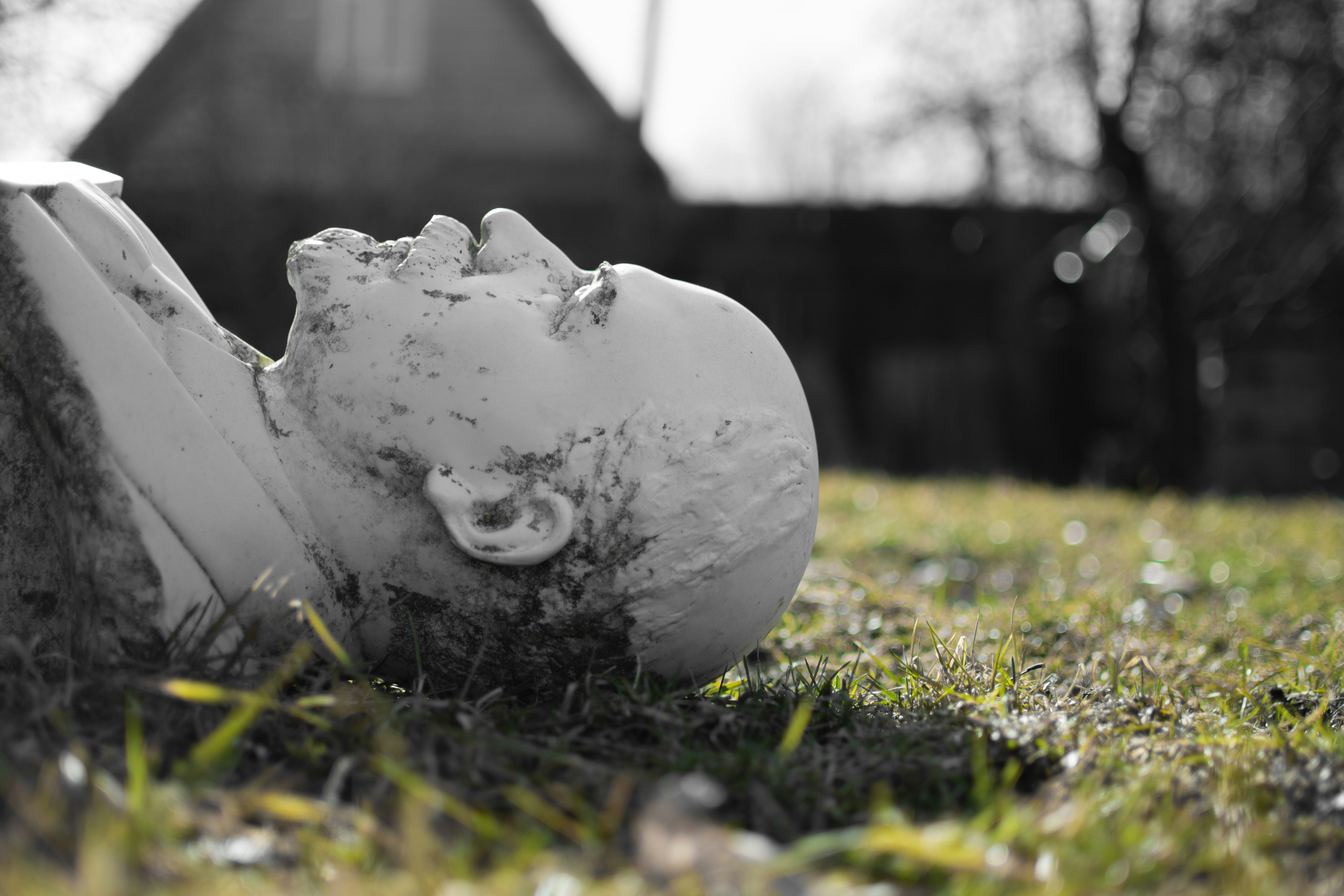 white ceramic bird figurine on green grass during daytime